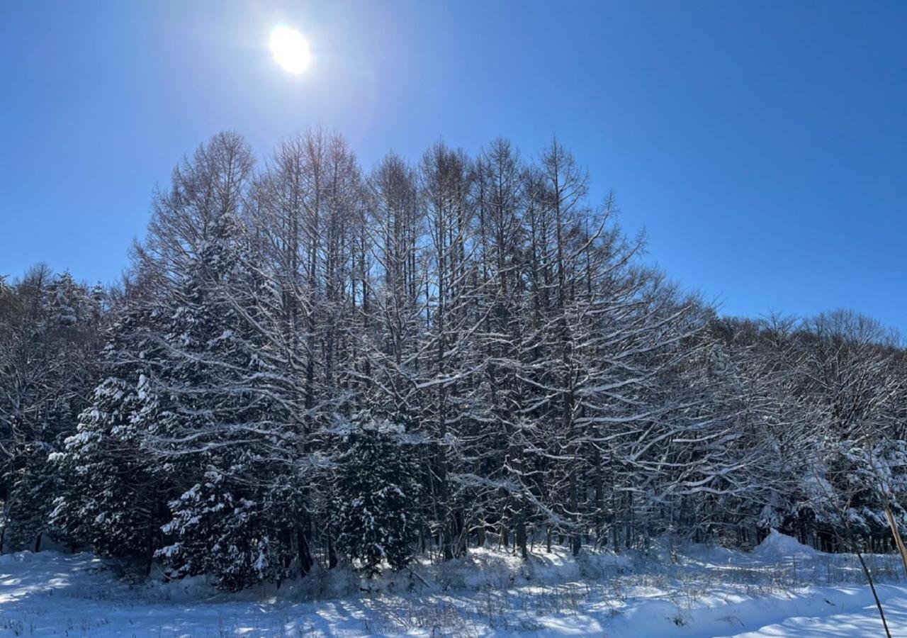 月ノ森 -Moon Forest- Fudžikawagučiko Exteriér fotografie